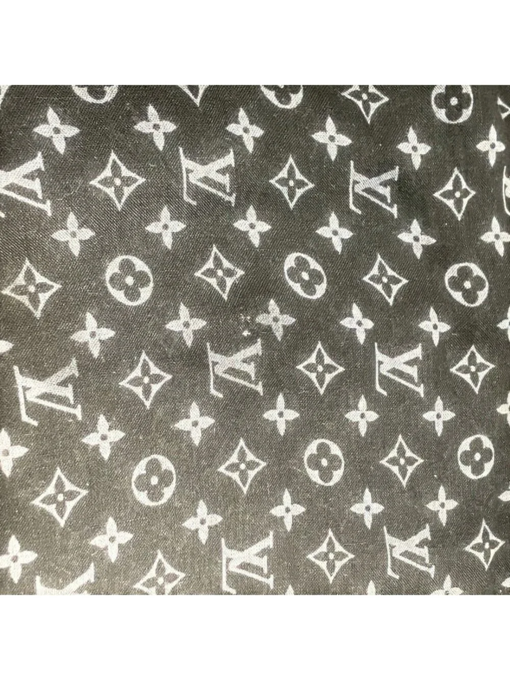 Louis Vuitton brand louis